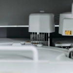 Критический анализ игрового автомата Starlight Princess 1000